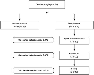 The Added Value of Cerebral Imaging in Patients With Pyogenic Spinal Infection